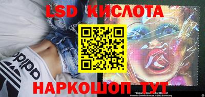 прущие грибы Кимры