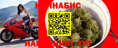 прущие грибы Кимры
