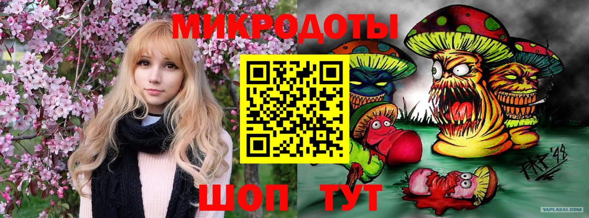Псилоцибиновые грибы Magic Shrooms  Вход с VPN  Гусиноозёрск 