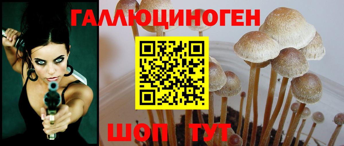 Галлюциногенные грибы ЛСД Гусиноозёрск
